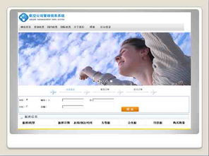 從航空信息管理系統(tǒng)看中國軟件服務(wù)外包實訓(xùn)基地（NIIT）的無錫模式