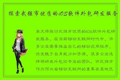 探索武強(qiáng)市優(yōu)質(zhì)的iOS軟件外包研發(fā)服務(wù)